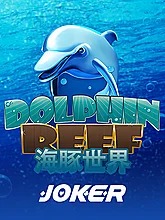 dolphin-reef