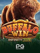 buffalo-win