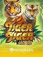 tiger-tiger